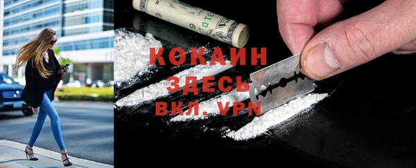 индика Алексин