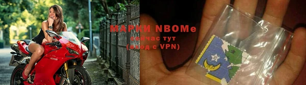 индика Алексин
