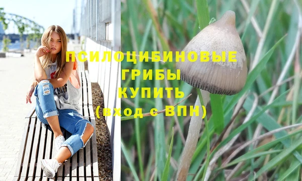 прущая мука Корсаков