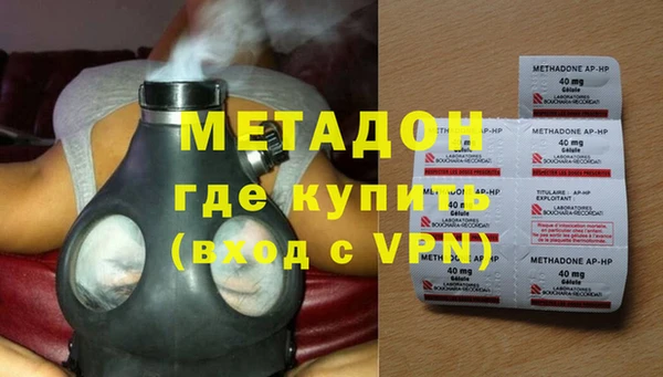 индика Алексин