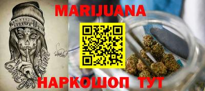 индика Рузаевка
