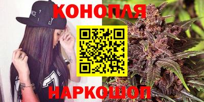 индика Рузаевка