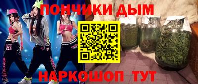 индика Рузаевка