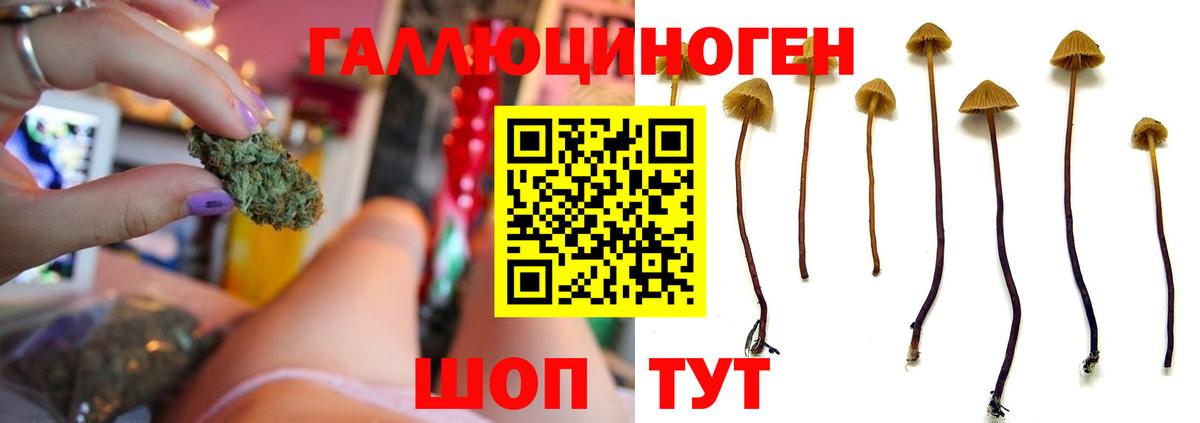 Уфа  Псилоцибиновые грибы Magic Shrooms  Вход с VPN  Псилоцибиновые грибы мухоморы 